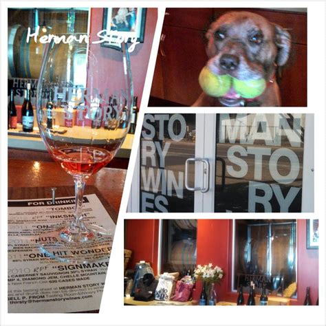 where to buy herman story wines